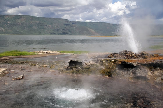 Lake Bogoria